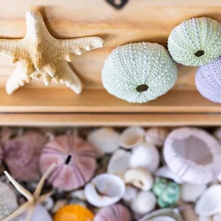 Lägenhet Horizonte Azul Punta Del Hidalgo