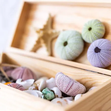 Horizonte Azul * Punta Del Hidalgo