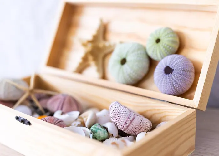 Horizonte Azul * Punta Del Hidalgo