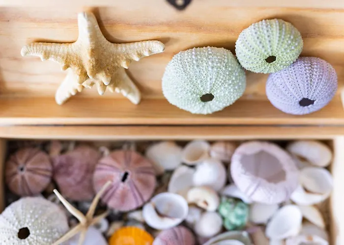 Horizonte Azul * Пунта-дель-Идальго